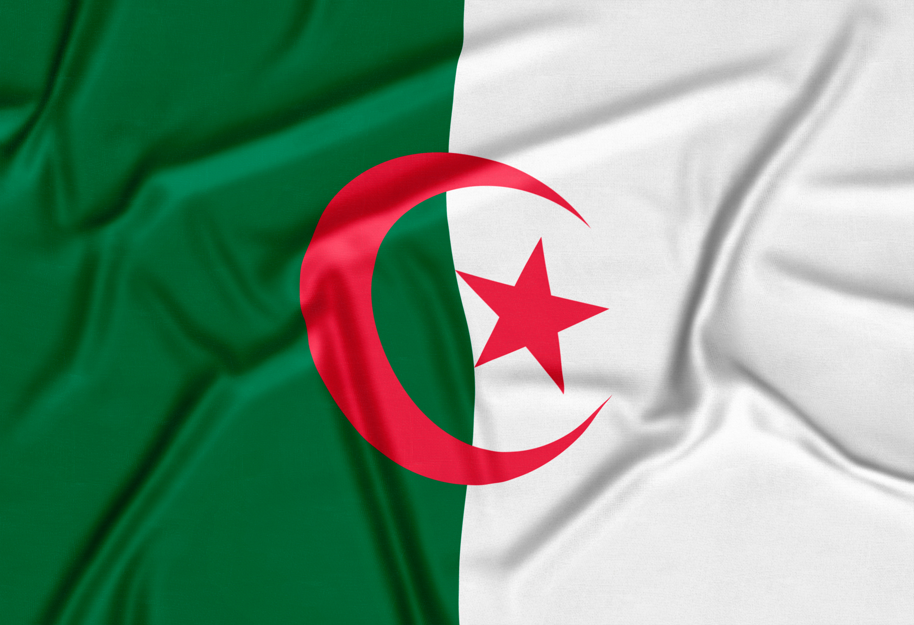 Algérie : “Terre Mère” ou la place de la nouvelle génération d’émigrés en France
